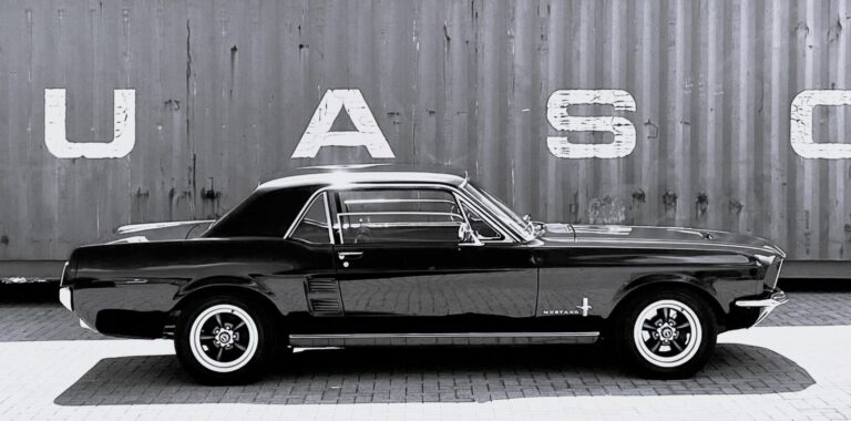 PG_Mustang (45) - Kopie